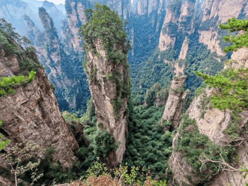 少?张家界六天五晚线路指南码住不踩坑j9国际站登录张家界六日深度游花费多(图3) 少?张家界六天五晚线路指南码住不踩坑j9国际站登录张家界六日深度游花费多(图3)